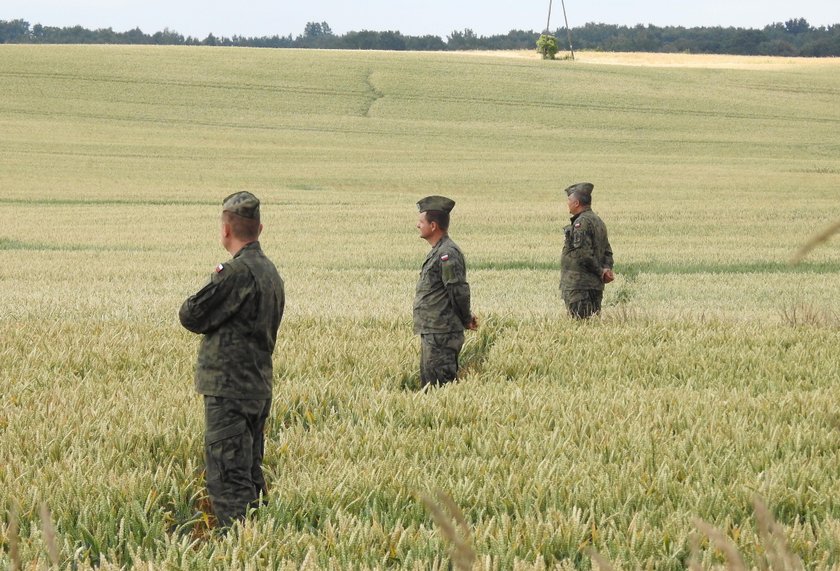 Przyczyny katastrofy Mig-29 pod Pasłękiem