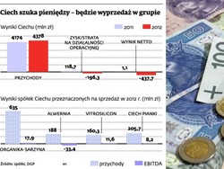 Sprzedaż Organiki przez Ciech pod znakiem zapytania
