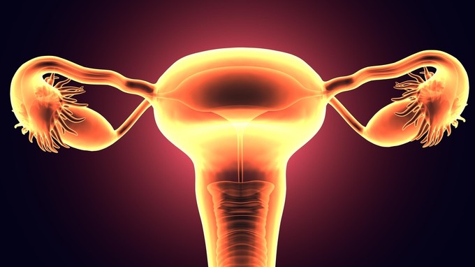 PCOS: a petesejtek termelődését is befolyásolja