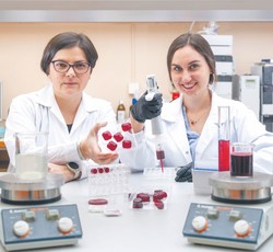 Wegański zamiennik żelatyny. Jak wiele wynalazków, także ten zawdzięcza swój początek przypadkowi