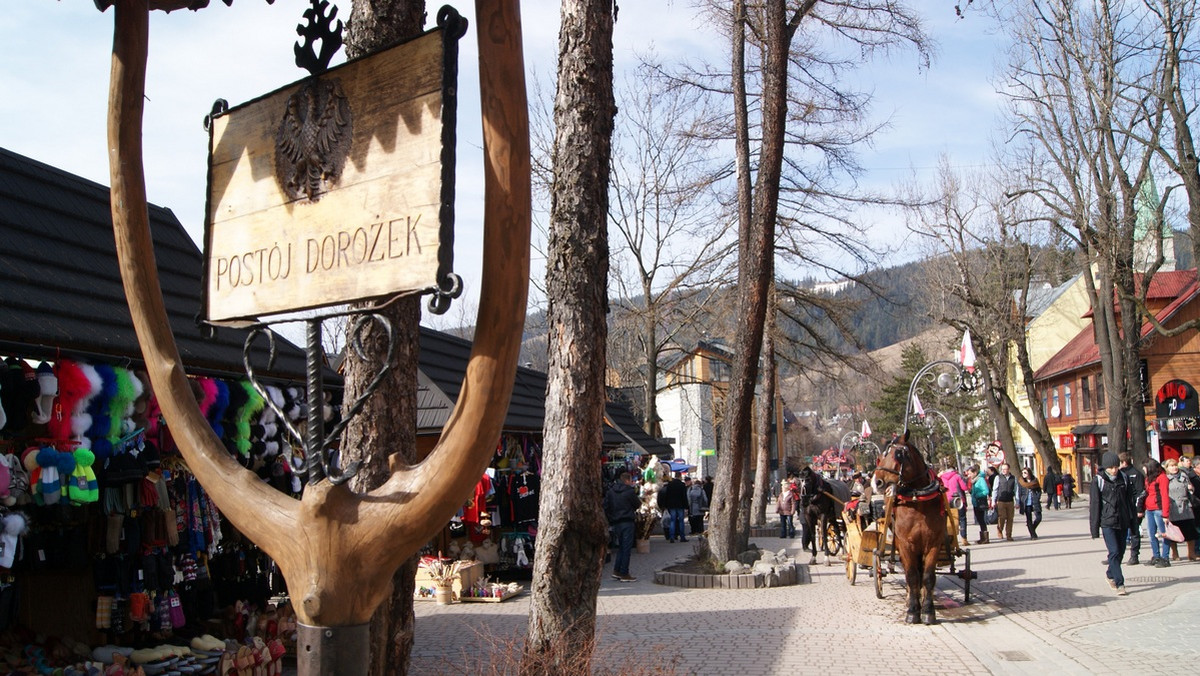 Obrońcy praw zwierząt żądają usunięcia zaprzęgów z centrum Zakopanego. Burmistrz tego nie chciał zasłaniając się tradycją.