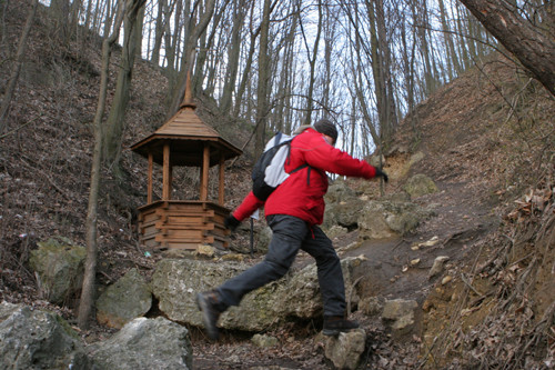 Kraina dinozaurów -  okolice Bałtowa (świętokrzyskie)