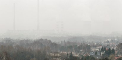 Rybnik chwali się, że jest najzdrowszym miastem