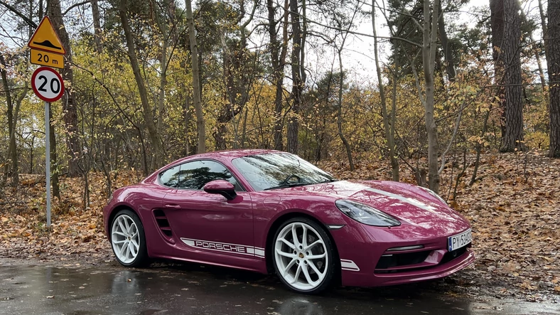 Porsche 718 Cayman Style Edition (kod 982; model z 2023 r.)