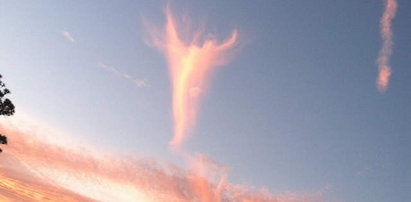 Znak od Boga! Anioł pojawił się po wyborze papieża!