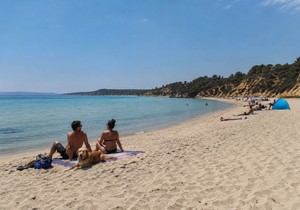 Pas na plaži - ilustracija
