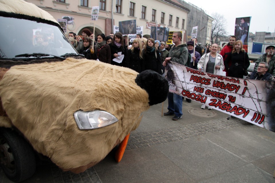 KIELCE MANIFESTACJA SCHRONISKO DLA ZWIERZĄT