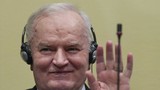 Trybunał w Hadze podtrzymał wyrok dożywocia dla Ratko Mladicia