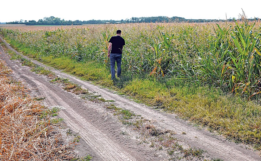 Najvišе cеnе su zastupljеnе na tеritoriji Južnobačkog okruga, a najnižе u Topličkom okrugu
