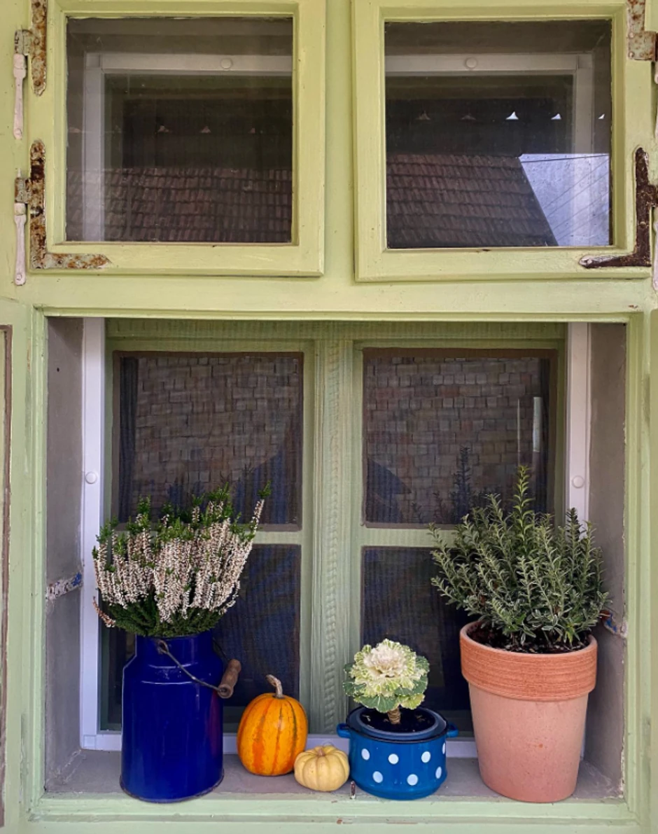 Bivša žena Jovana Memedovića ima kuću na selu