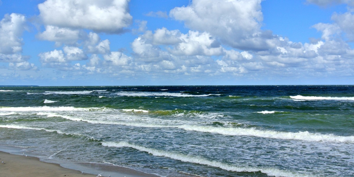Do Jakiego Oceanu Należy Morze Bałtyckie Morze Bałtyckie: hałas szkodzi zwierzętom - Podróże
