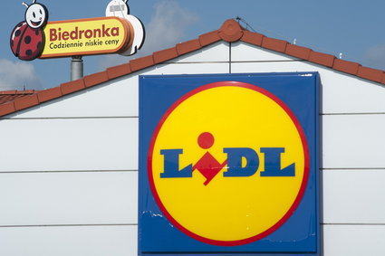 Lidl i Biedronka biją się o melomanów. Sprzedaż płyt winylowych w Polsce wystrzeliła