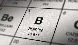 Bor se nalazi u mnogim namirnicama biljnog porekla