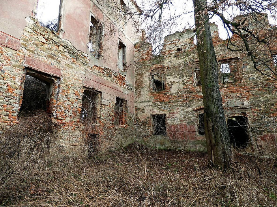 Ruiny Zamku w Pielaszkowicach