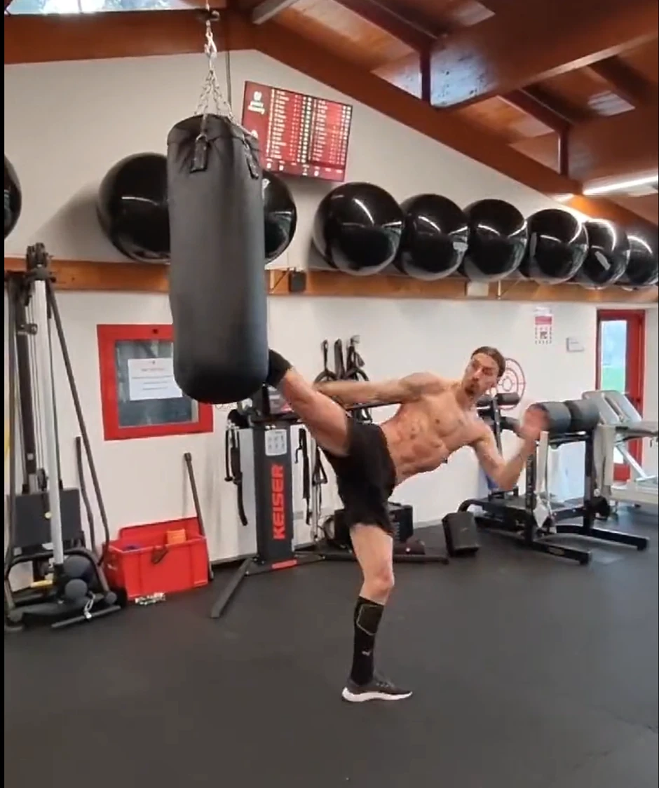 Zlatan Ibrahimović