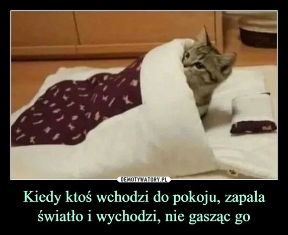 Światowy Dzień Snu. Te memy to samo życie