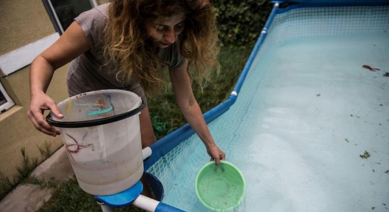 Woman draws water from a pool during a drinking water supply cut in Santiago, on February 26, 2017 where more than 1.4 million homes have been affected by a water cut from heavy rains in three regions of central Chile
