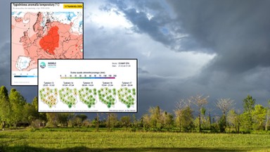 Znamy prognozy pogody na kwiecień. Rozkwit wiosny może zahamować