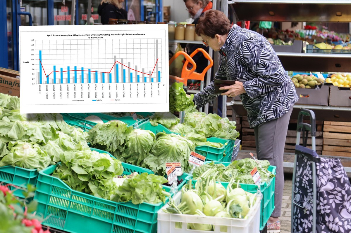 ZUS pokazał całą prawdę o emeryturach. Połowa seniorów żyje za 40 proc. średniej pensji