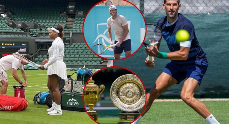 The biggest names in tennis face contrasting fortunes in this year's Wimbledon