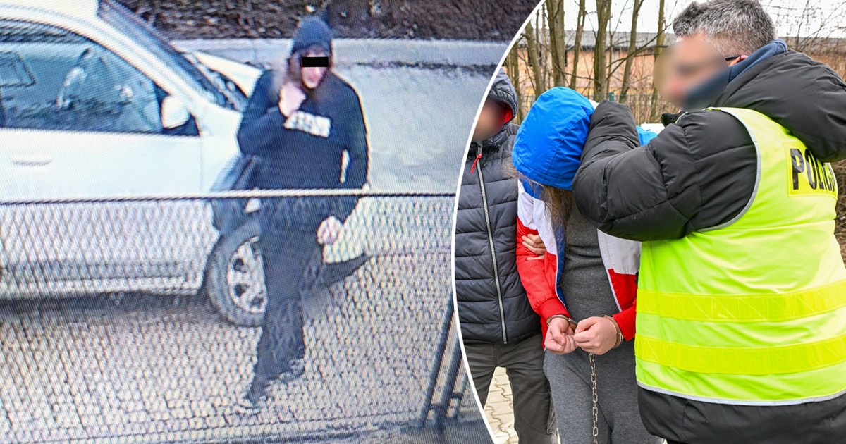 Brutalnie zaatakował 13-latkę w parku. Chciał ją skrzywdzić. Wstrząsające ustalenia śledczych