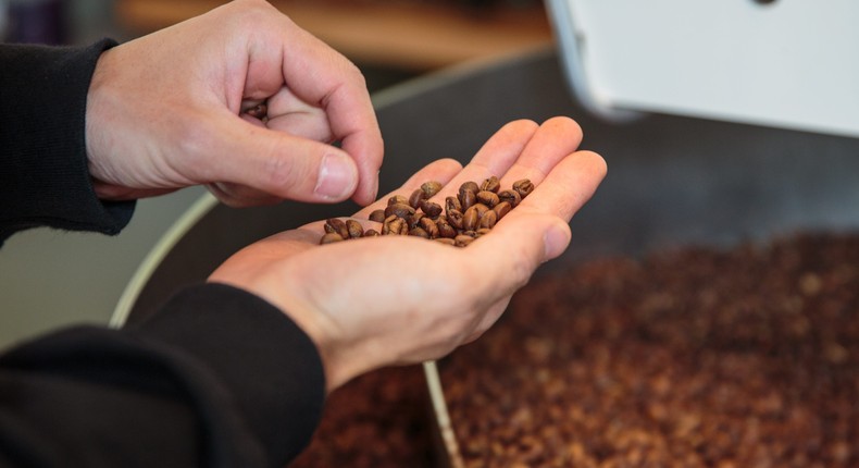Coffee prices surge to 6-year high as extreme cold threatens Brazil's ...
