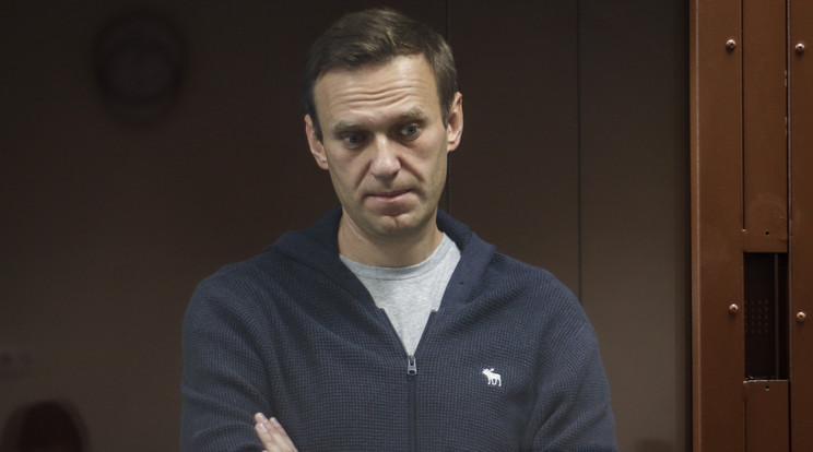 A Babuskinszkij kerületi bíróság által közreadott képen Alekszej Navalnij orosz ellenzéki politikus meghallgatáson vesz részt a bíróság moszkvai tárgyalótermében az ellene rágalmazás vádjával indított perben 2021. február 12-én. / Fotó: MTI/EPA/Babuskinszkij kerületi bíróság