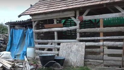 Már korábban is lecsapott a kaposvári remete: egy kutyát is kivégezhetett