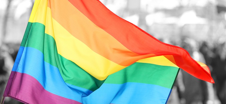 Lubelski sejmik zdecydował. Wraca sprawa "promowania ideologii ruchów LGBT"