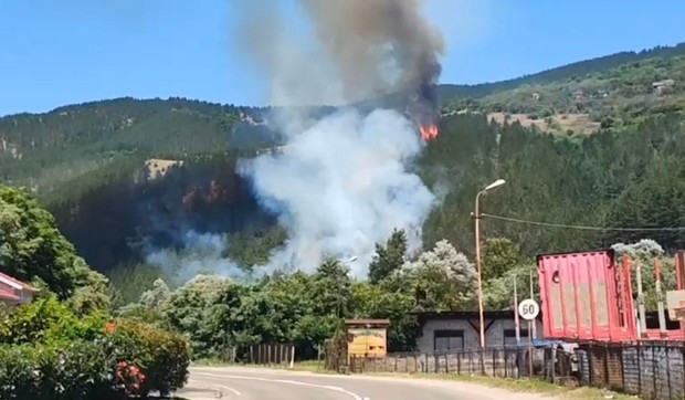 Požar u dolini Ibra
