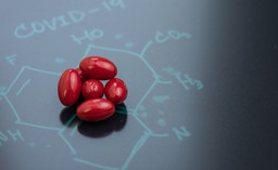Molnupirawir do walki z Covid-19. Dania jako pierwsza w UE autoryzowała lek