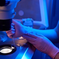 Először használtak emberi bőrsejteket megtermékenyíthető petesejtek létrehozására