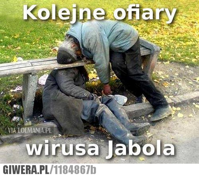 Wirus Jabola dotarł do Polski