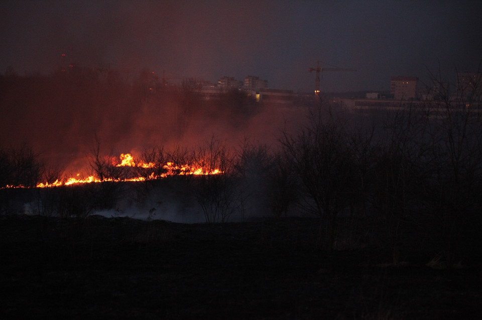 Pożar traw na krakowskim Ruczaju, Fot. Łukasz Boroń/Daj znać!