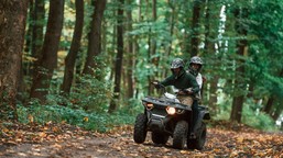 wjeżdżasz quadem do lasu? resort sprawiedliwości zaostrza przepisy