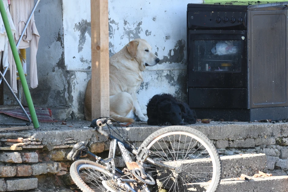 Zgrada u kojoj je jutros izbio požar