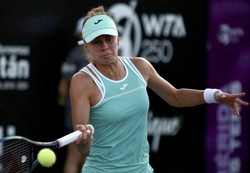 Linette odpadła w ćwierćfinale turnieju WTA w Meridzie