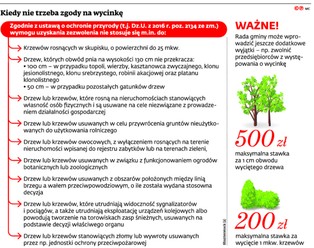Zgoda niepotrzebna, zgłoszenie już tak