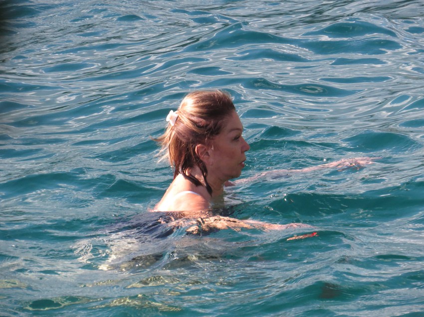 crna gora neda ukraden