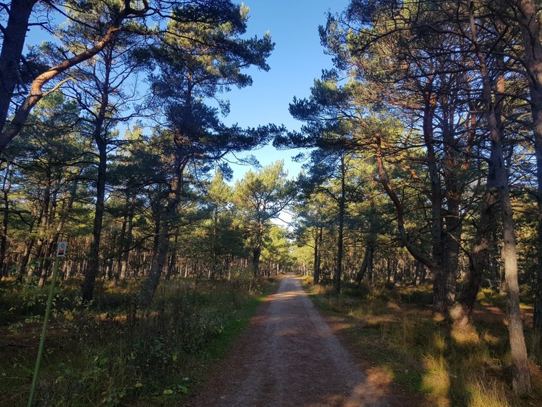 Droga na plażę w Słajszewie