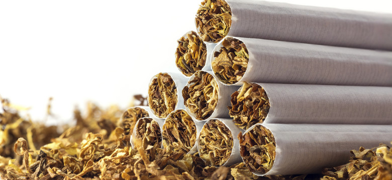 Śląsk: celnicy przejęli nielegalny tytoń o wartości 1,4 mln złotych