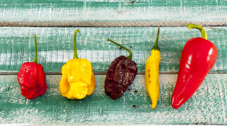 Ezek a csípős paprika jótékony hatásai / Fotó: Shutterstock