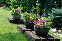 Jakie kwiaty warto mieć w swoim ogrodzie?