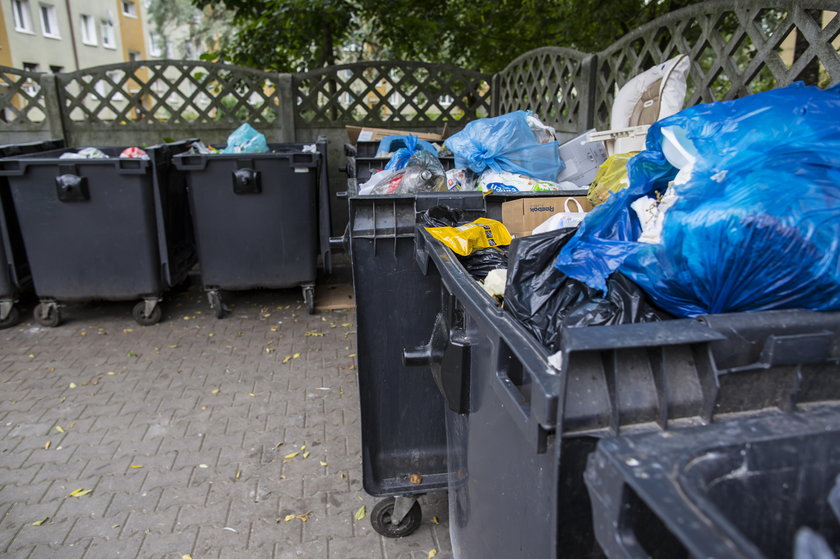 Nowe zasady segregowania śmieci