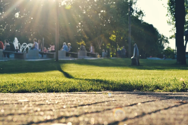 SVANUO JE LETNJI ARANĐELOVDAN: Evo šta narod veruje ako ceo dan SIJA SUNCE, a šta ako iznenada padne KIŠA