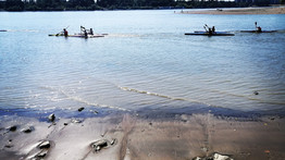 Ismét rákkeltő mérgek csorognak a Dunába – Az aszály miatt alig van víz a folyóban, minden jól látszik