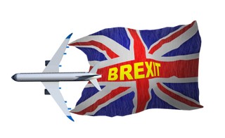 Twardy brexit spowoduje, że Polacy pracujący w Wielkiej Brytanii, nie będą objęci kartą EKUZ