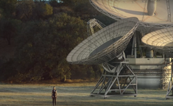 Zobacz TELEDYSK "My Way" Calvina Harrisa - mnóstwo pięknych kadrów