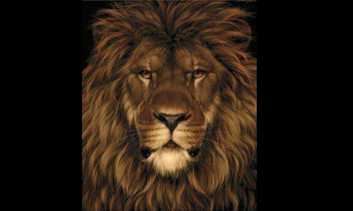 Iluzja optyczna z lwem i szczurem. Czy znajdziesz ukrytego gryzonia?