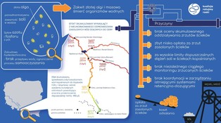 Raport NIK: Do polskich rzek zrzucają wody bardziej słone niż Bałtyk!